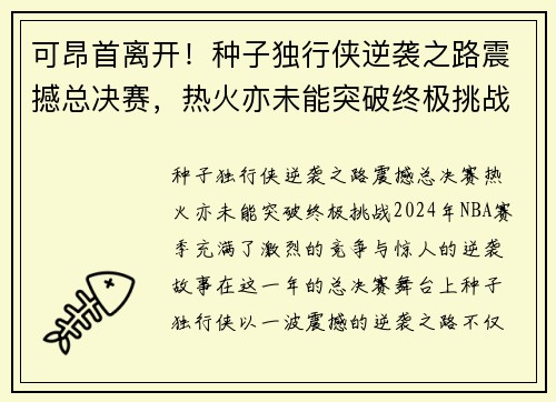 可昂首离开！种子独行侠逆袭之路震撼总决赛，热火亦未能突破终极挑战